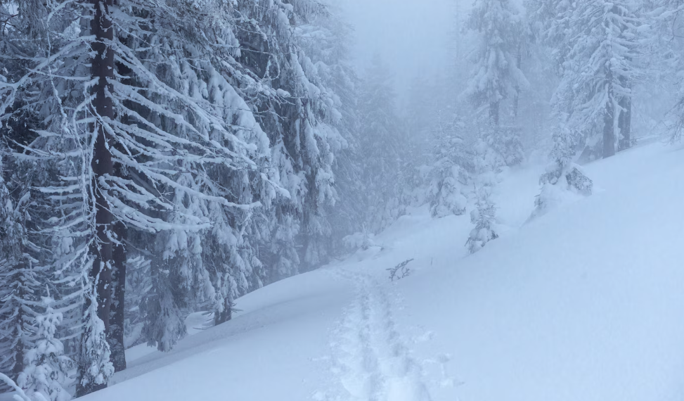 21 января Ульяновскую область снова завалит снегом