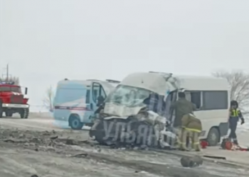 елка на дворцовой 2023. новогодняя елка на площади. дворцовая площадь новый год 2023. василий викулов празднование нового года на дворцовой площади. ёлка на дворцовой площади 2022.