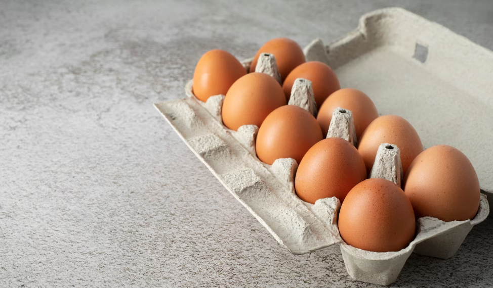 В Ульяновской области дешевеют куриные яйца — Минсельхоз