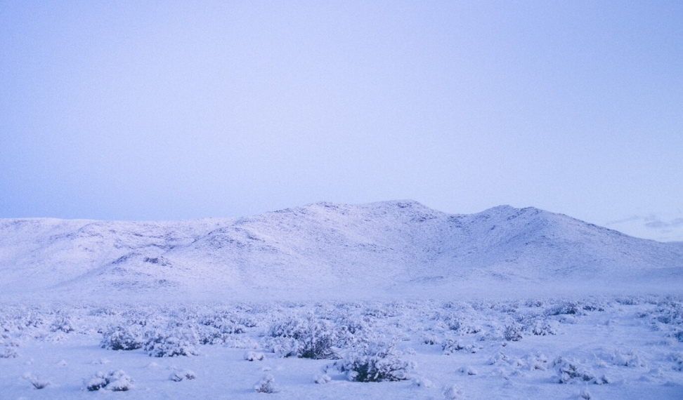 Кончились продукты, дети не идут в школу: деревня под Ульяновском отрезана от мира
