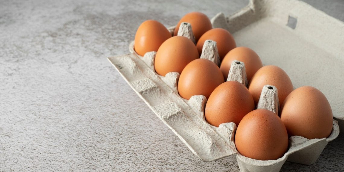 Ульяновские куры в 2024 году стали нестись на 8 процентов интенсивнее