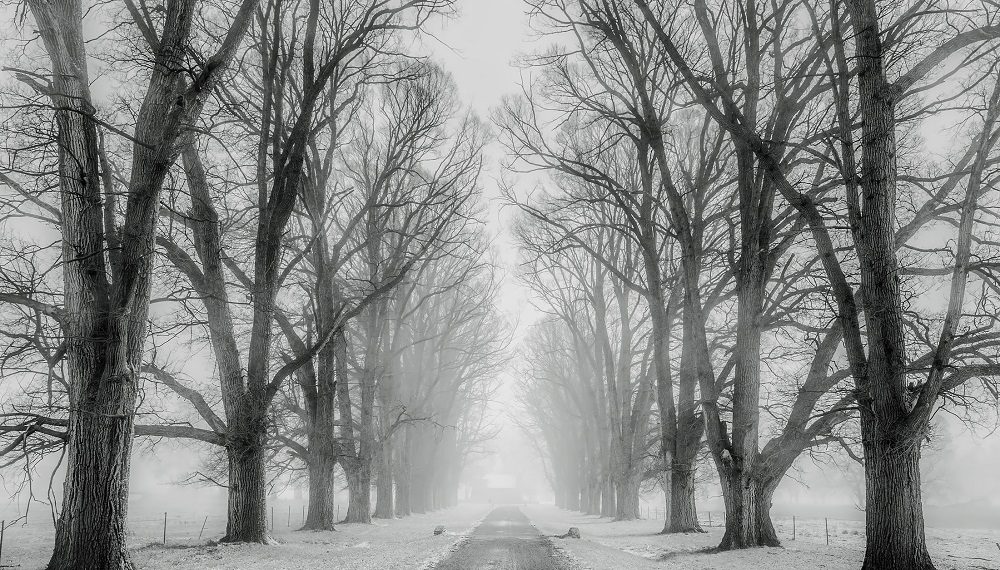 «Желтый» уровень опасности объявили в Ульяновской области