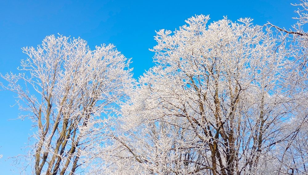 Ульяновские синоптики озвучили прогноз погоды на праздничную неделю