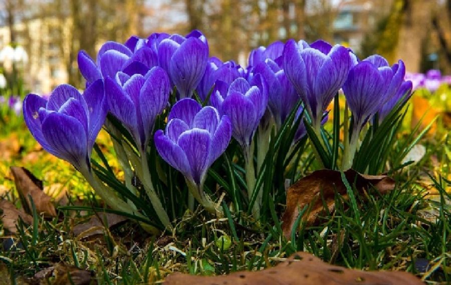 Новая неделя в Ульяновской области начнётся с +10 градусов