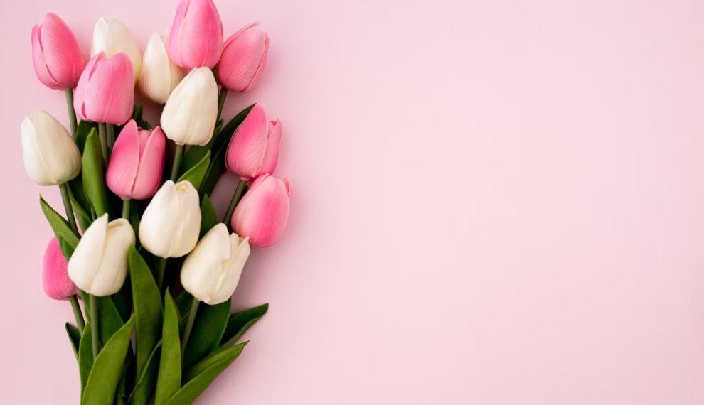 Ульяновская мэрия анонсировала 500 мероприятий к 8 марта