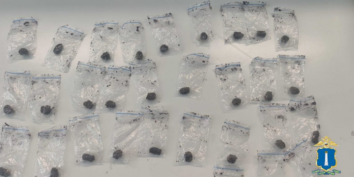 Двоих ульяновцев задержали с крупной партией наркотиков