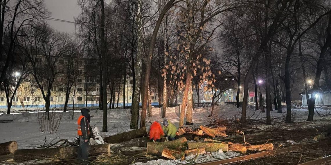 Ульяновские спасатели убрали деревья, порвавшие контактную сеть трамваев в Засвияжье