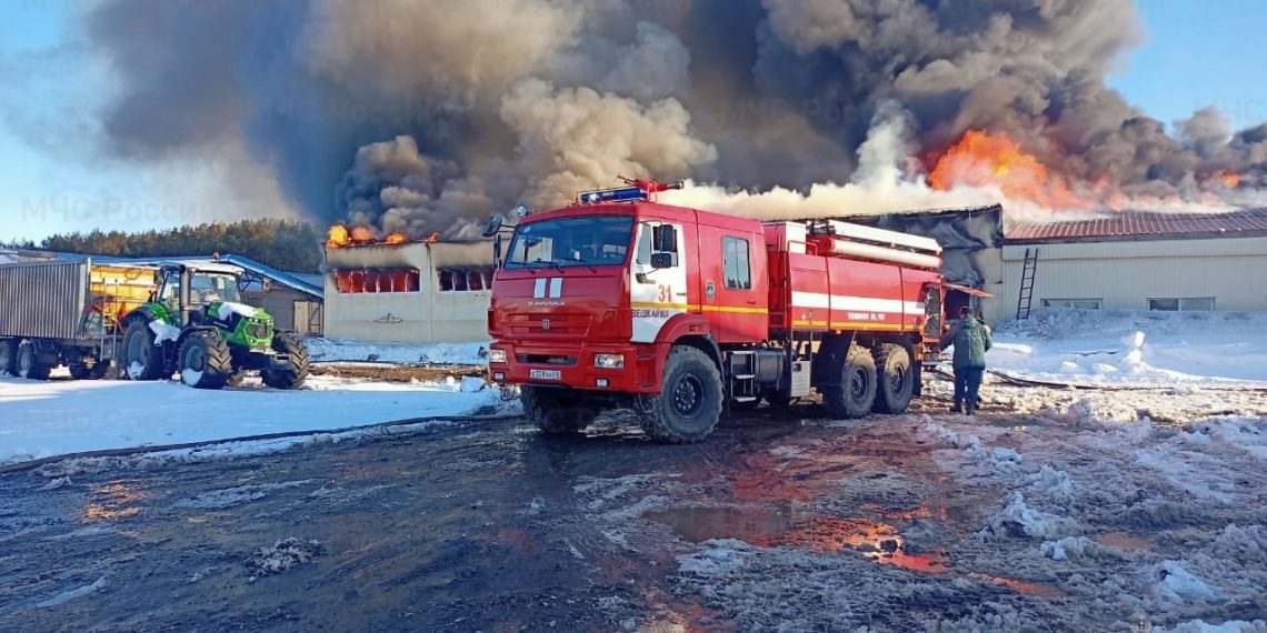 В Вешкайме загорелся склад готовой продукции местной птицефабрики