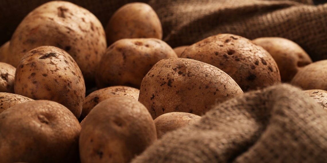 Четверо из десяти ульяновских дачников будут сажать картошку в 2024 году