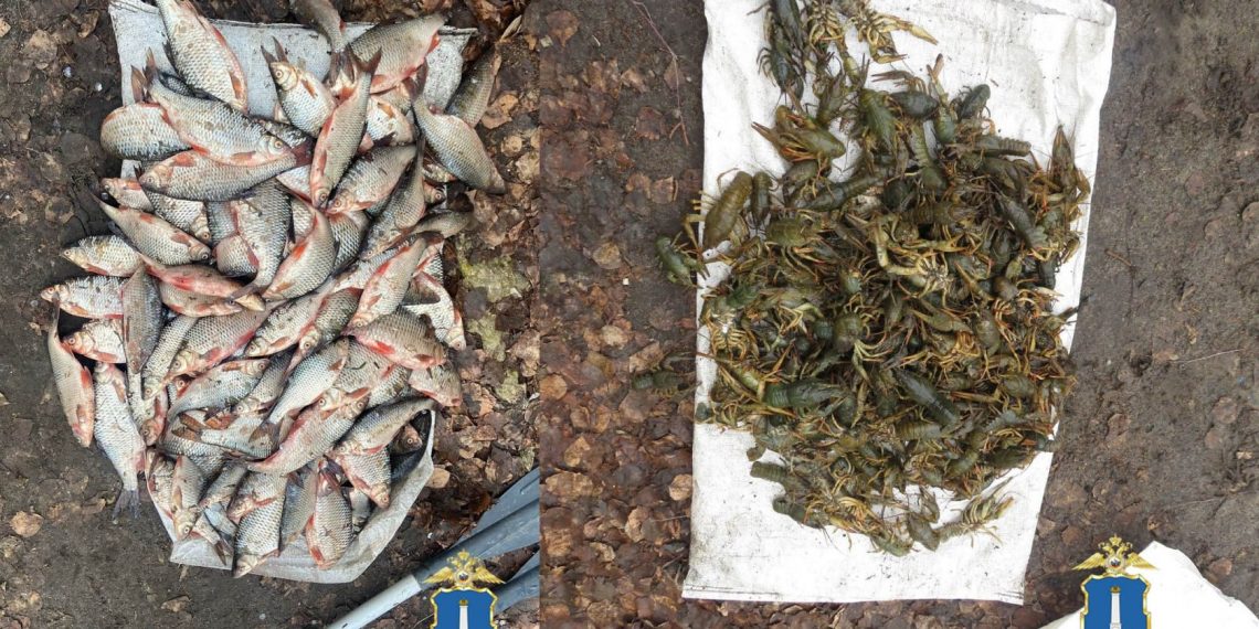 Ульяновский браконьер ловил в озере Утином рыбу и раков