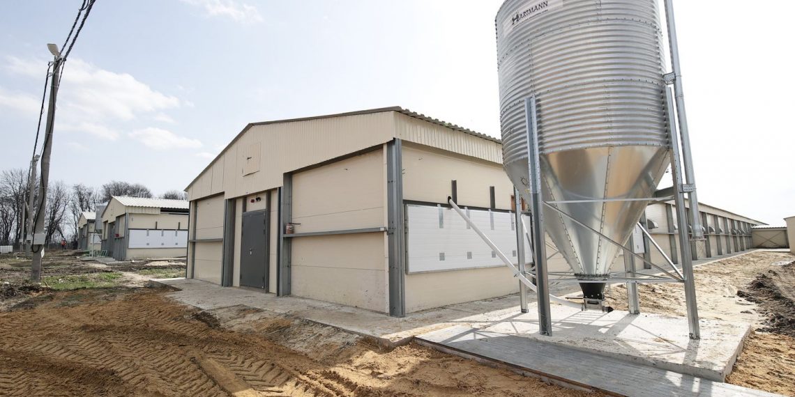 Языковская птицефабрика планирует выпускать 4000 тонн курятины в год