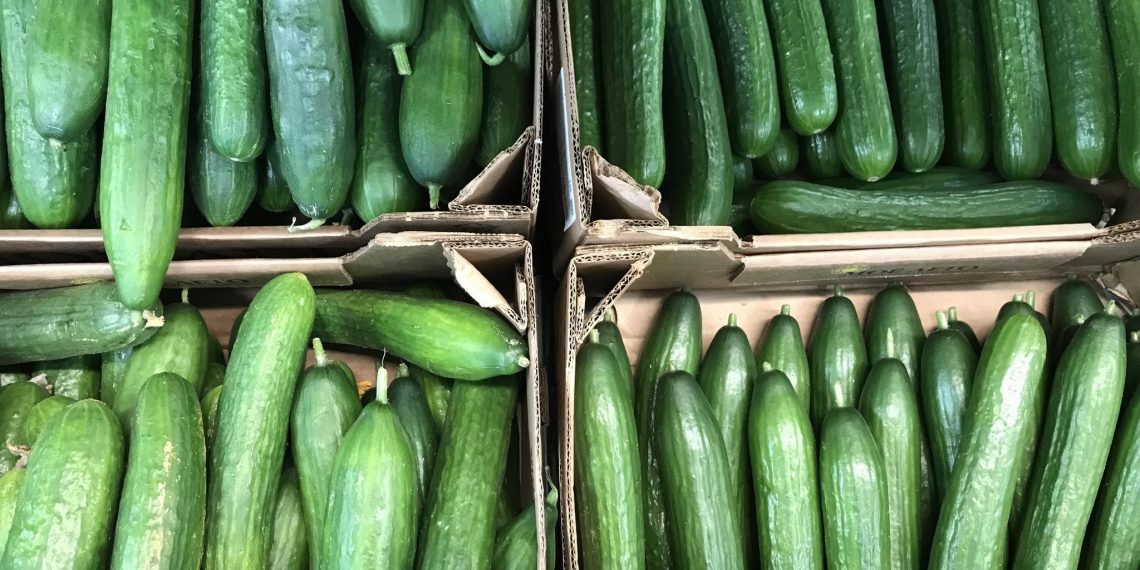 Ульяновские огурцы опять молодцы – стали самыми дешёвыми в России