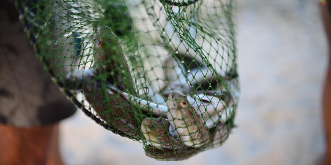 Димитровградские полицейский поймали рыбака-браконьера: изъяли сеть и рыбу