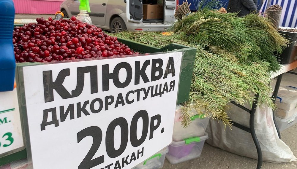 Клюква стала изюминкой сельскохозяйственной ярмарки в Засвияжском районе