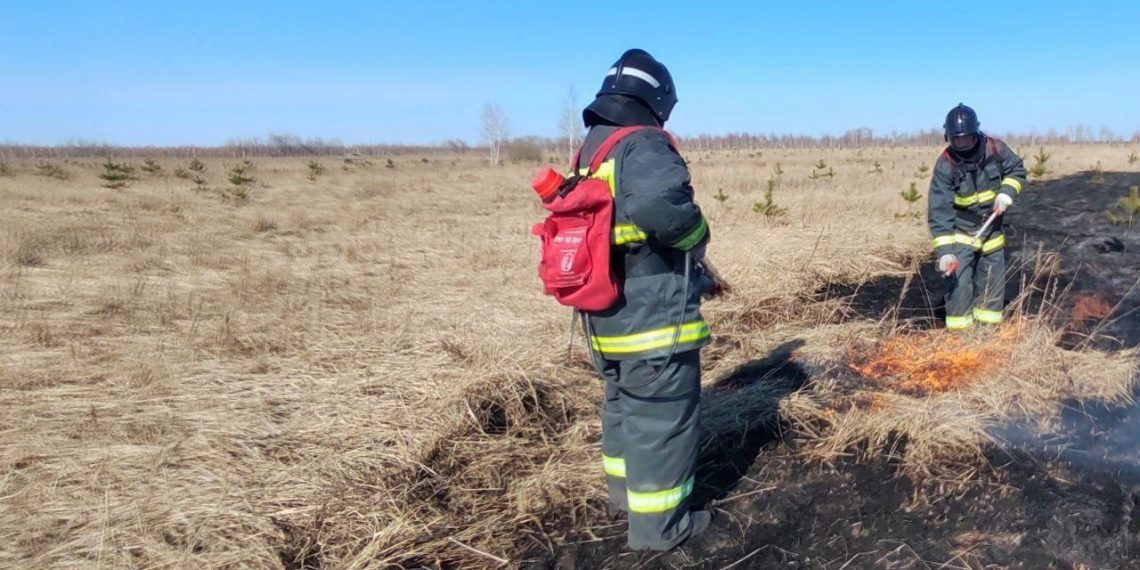 Пожароопасность 4 класса ожидается на востоке Ульяновской области