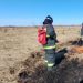 Пожароопасность 4 класса ожидается на востоке Ульяновской области