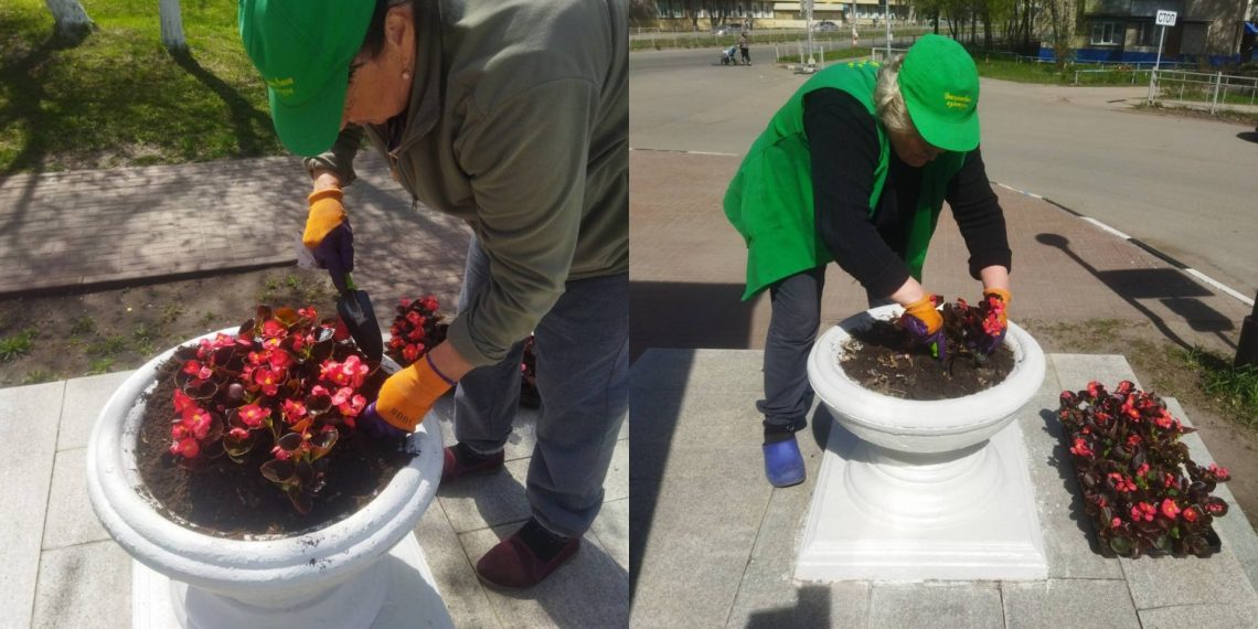 У «Колокола Чернобыля» в Ульяновске высадили бегонию
