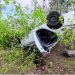 34-летний водитель на «Весте» улетел в кювет и перевернулся на трассе в Ульяновской области