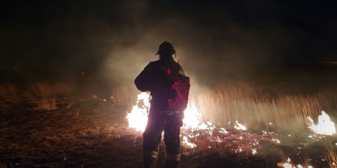 За сутки в Ульяновске потушили восемь ландшафтных пожаров