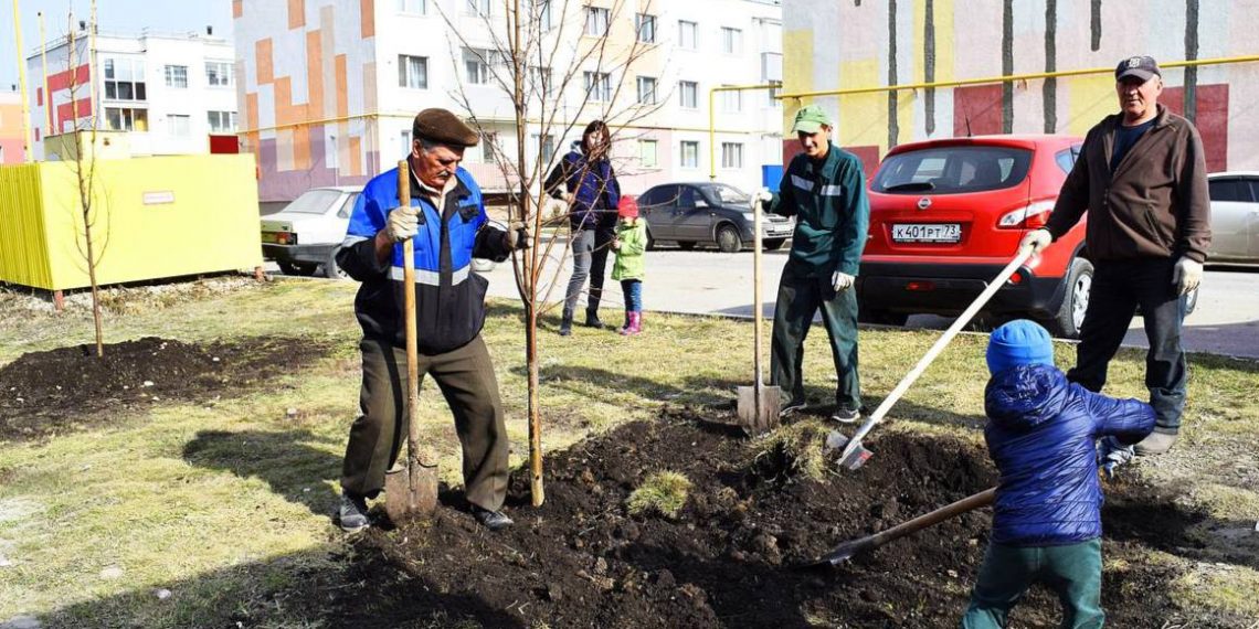 Субсидии на озеленение дворов смогут получить жители ульяновских МКД