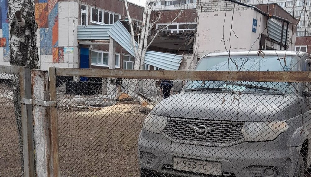 На детский сад в Ульяновске рухнуло дерево