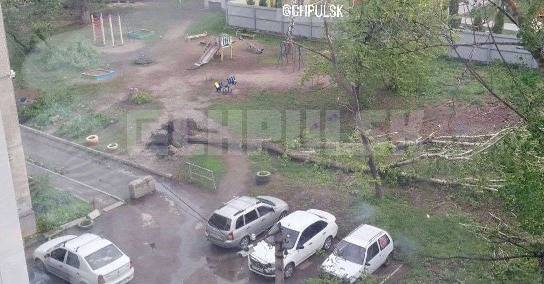 В Ульяновске огромный тополь рухнул на детскую площадку