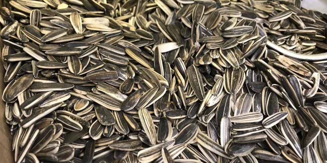 180 мешков семечек на 2 млн рублей пытались украсть у фермера в Ульяновской области