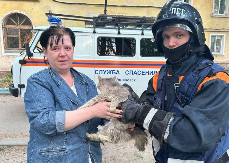 Ульяновские спасатели сняли несколько дней просидевшего на дереве котёнка