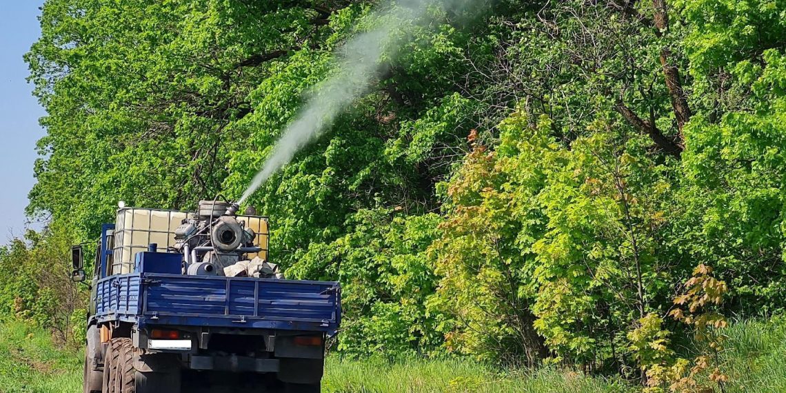 Ульяновские леса начнут обрабатывать от шелкопряда 15 мая