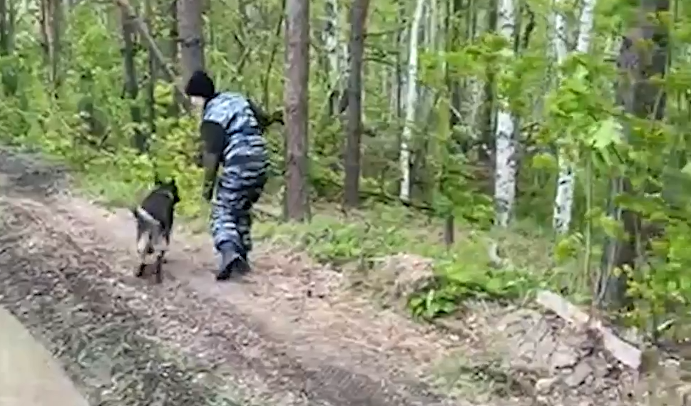 Найденная на третьи сутки 12-летняя девочка из Ульяновской области умерла от переохлаждения