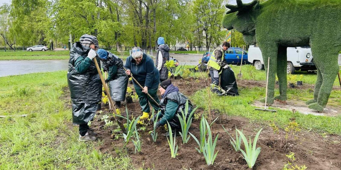 Логово лося обустроили на левом берегу Ульяновска