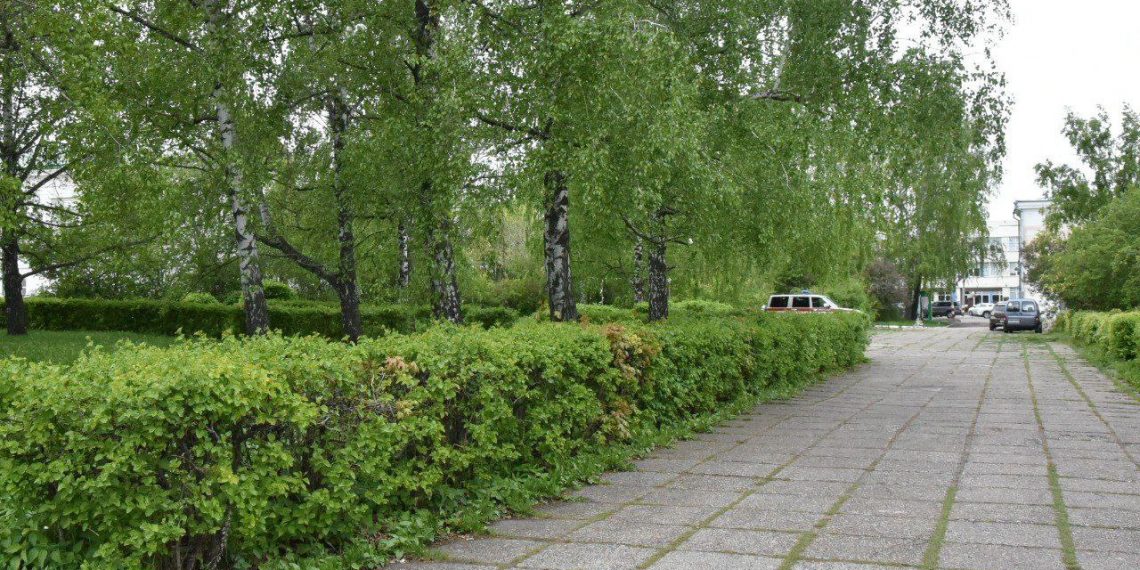 Болдакин обещал не вырубать начисто сквер Языковых при реконструкции