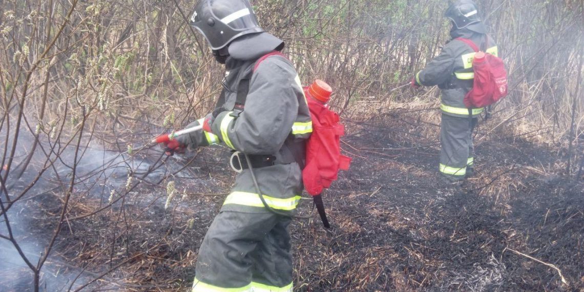 В ульяновском парке «Чёрное озеро» горел камыш