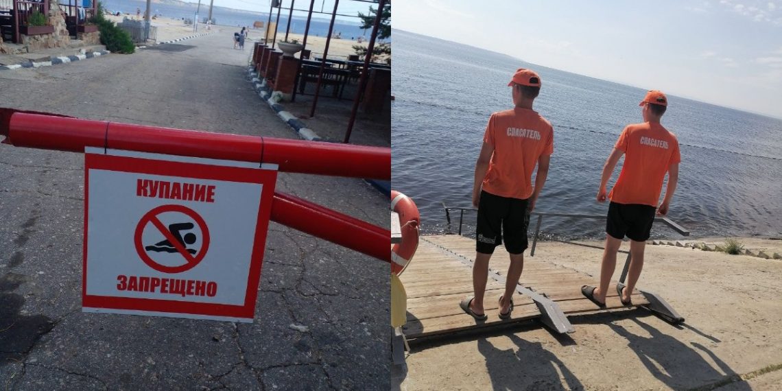 Результаты проб волжской воды в районе центрального пляжа Ульяновска ожидаются 25 июня