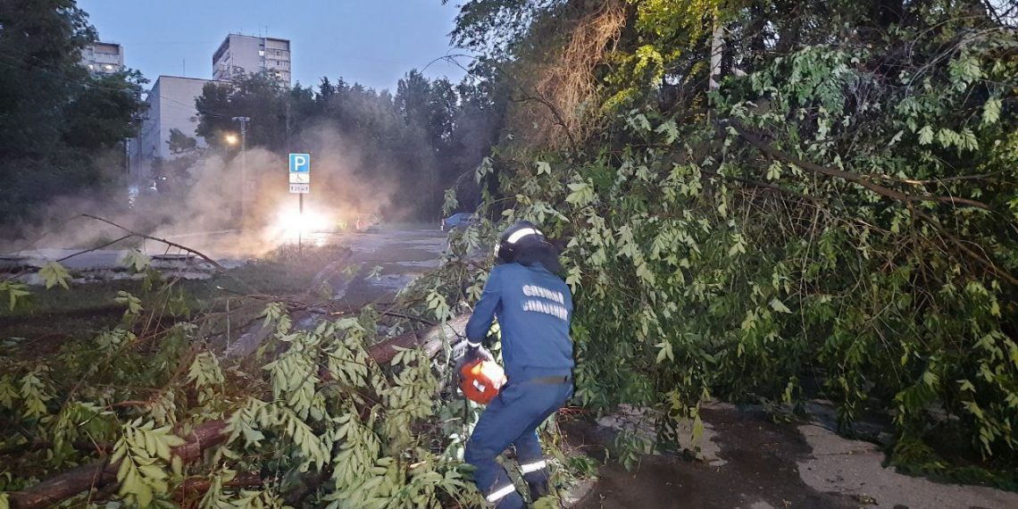 В ульяновской мэрии рассказали о поваленных ветром деревьях