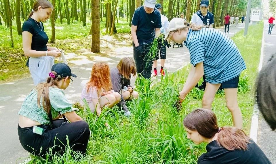 Трудовым отрядам ульяновских школьников расширят фронт работ