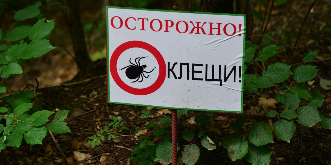 100 жителей Ульяновской области пострадали от клещей на минувшей неделе