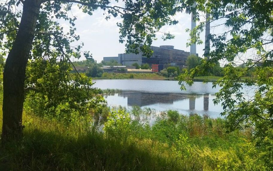 В Ульяновске затопило СНТ «Труженик»