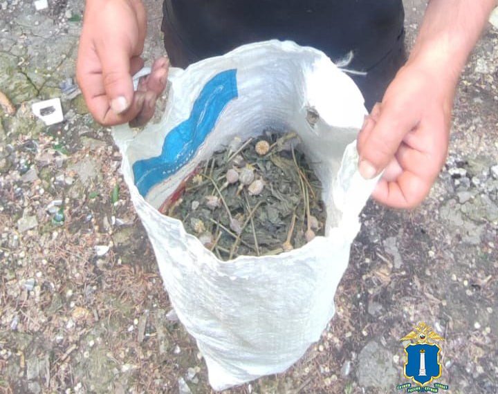 Житель Самарского региона попался с маковой соломкой в Ульяновской области