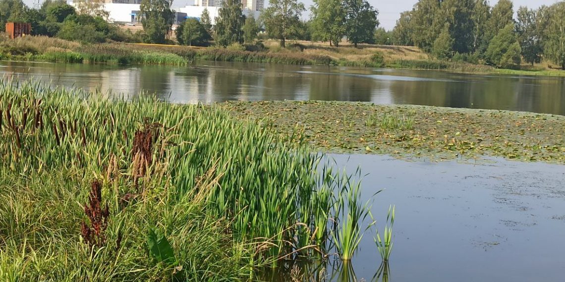 Тело мужчины подняли из реки около ульяновского пляжа «Олимп»