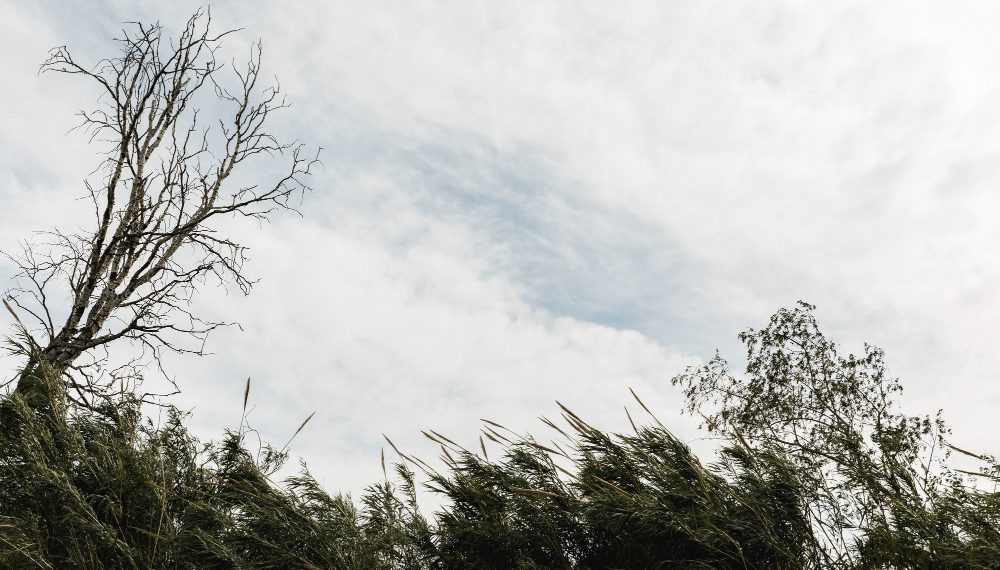 Ливень, шквал, гроза и град: ульяновские синоптики дали прогноз на вторую половину дня 6 июля