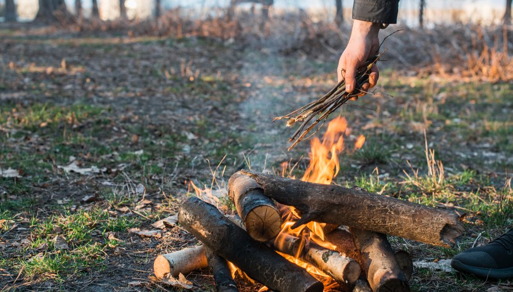 Чрезвычайная пожароопасность 5 класса объявлена в Ульяновской области