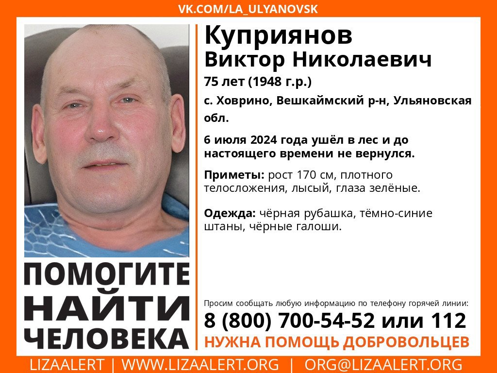 75-летний пенсионер бесследно исчез в Вешкаймском районе - Ульяновск