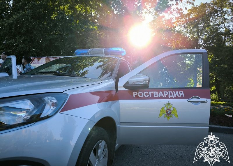 В Росгвардии рассказали об избиении женщин на Гончарова в Ульяновске