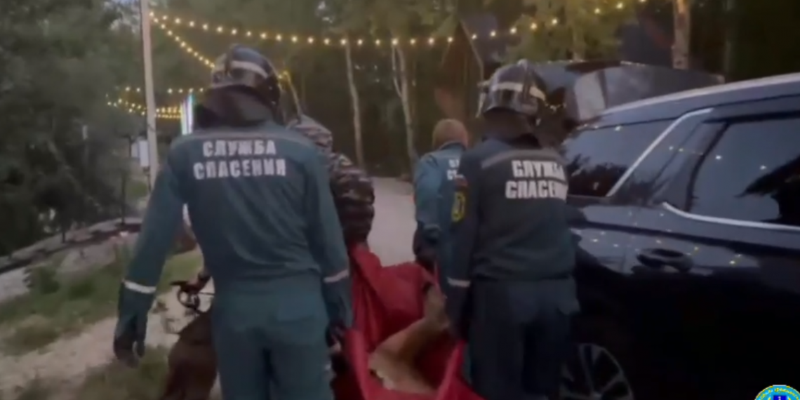 Ульяновские спасатели вытащили косулю из оврага на Ипподромной — видео