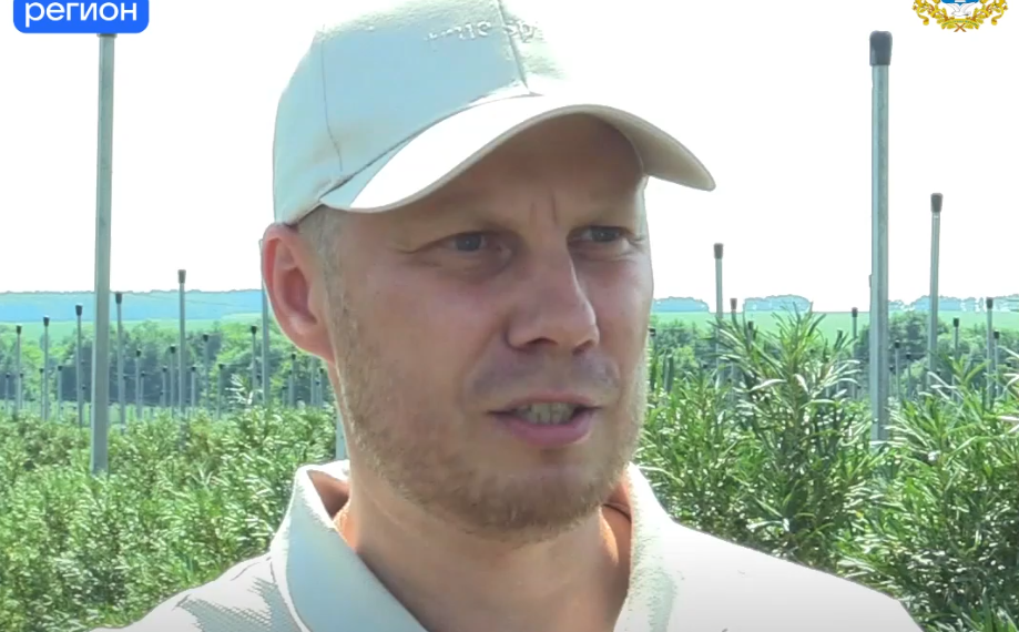 Ульяновские фермеры в этом году получат от государства больше, чем в 2023-м