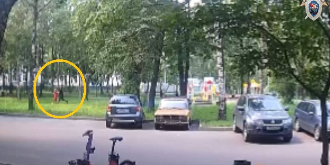 27-летний житель Ульяновска похитил грудного ребёнка в Москве — видео