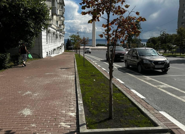 «Зелёный прямоугольник» прижился на центральной улице Ульяновска