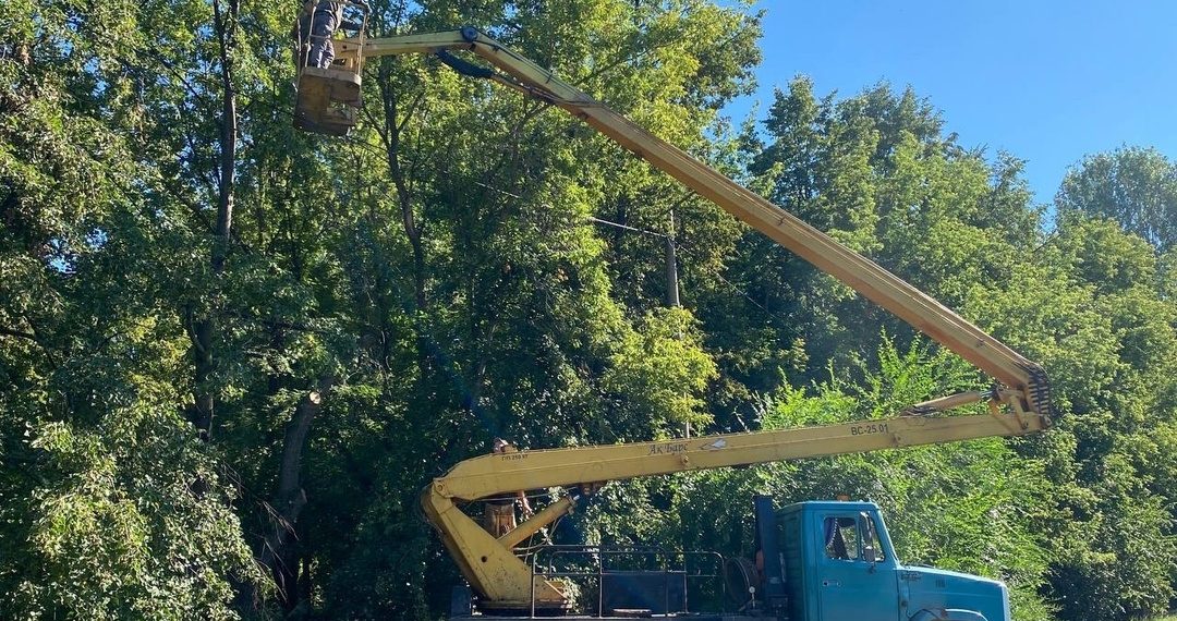 Возле школ Ульяновска сносят деревья