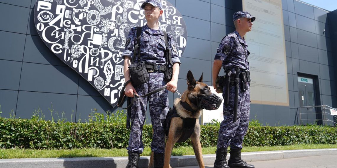 Ульяновские силовики задержали находящегося в федеральном розыске преступника
